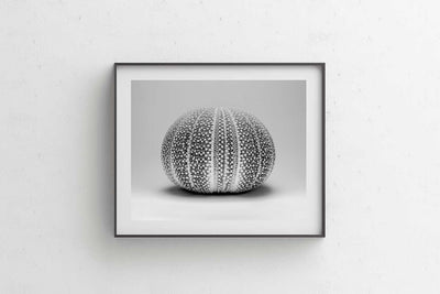 An Ocean Home II - Luxurious Walls