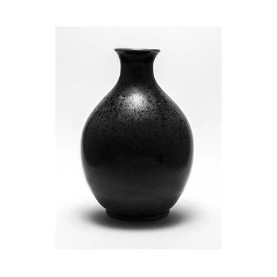 Ebony - Luxurious Walls