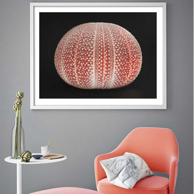 Ocean's Nymph II - Luxurious Walls