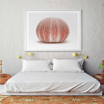 Ocean's Nymph I - Luxurious Walls