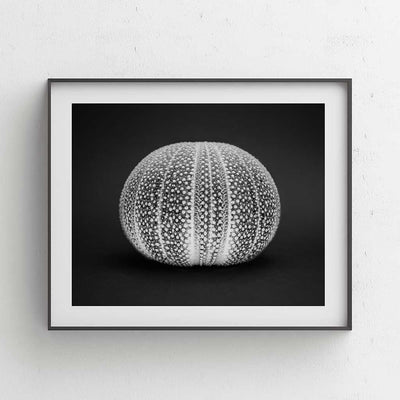 An Ocean Home I - Luxurious Walls