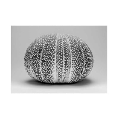 An Ocean Home II - Luxurious Walls