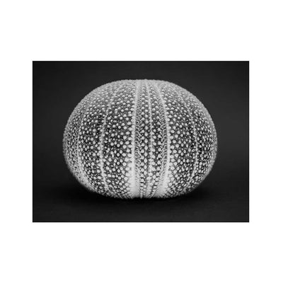 An Ocean Home I - Luxurious Walls