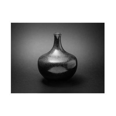 Black Silver II - Luxurious Walls