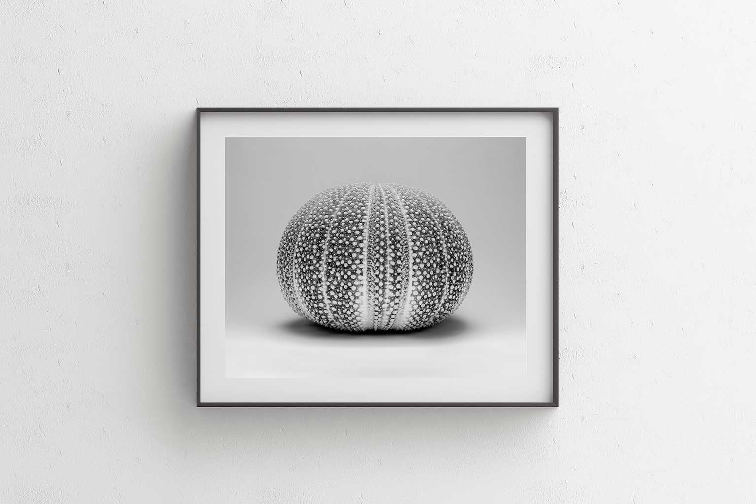 An Ocean Home II - Luxurious Walls