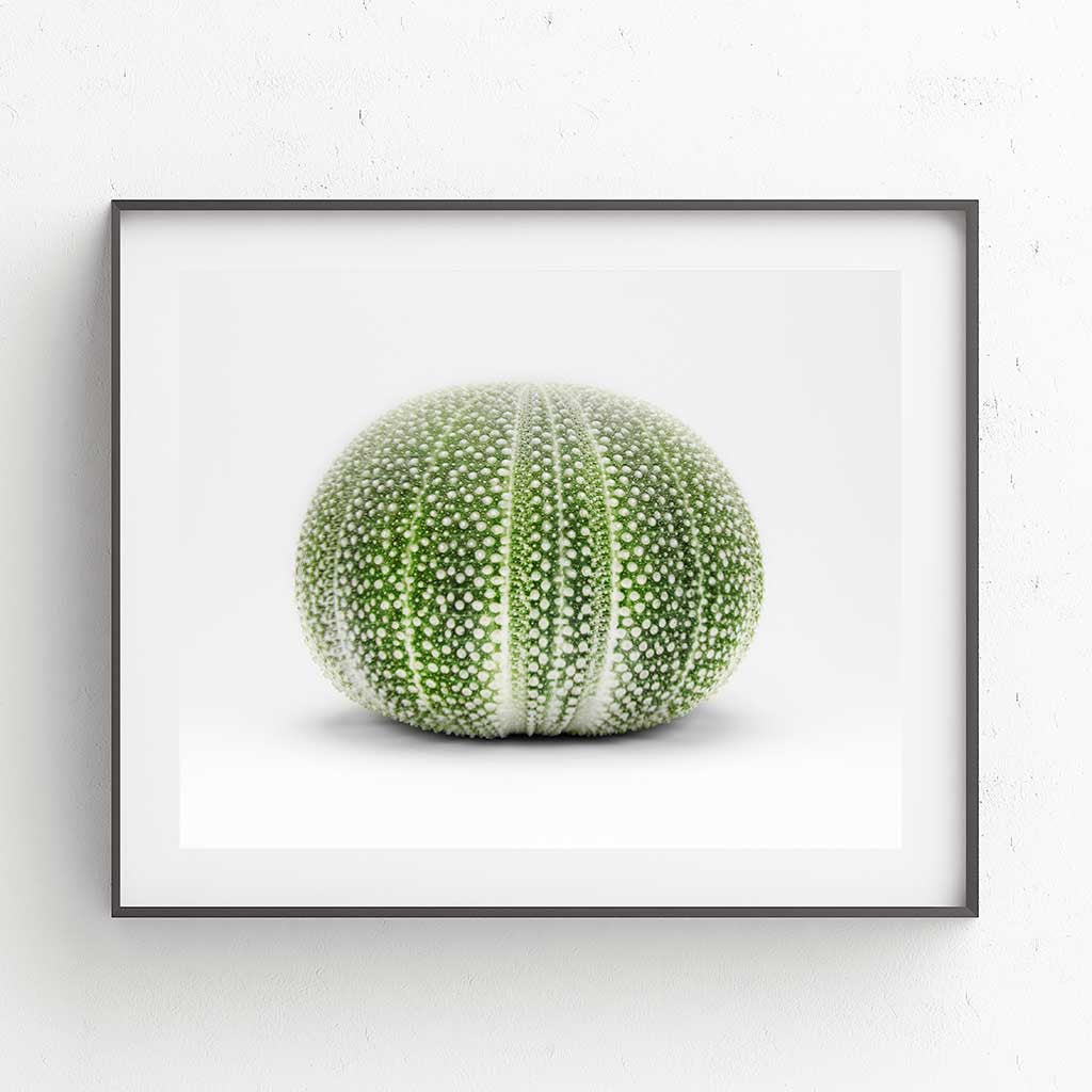 Greenery Celebration